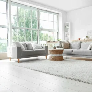 Mobile Home Windows